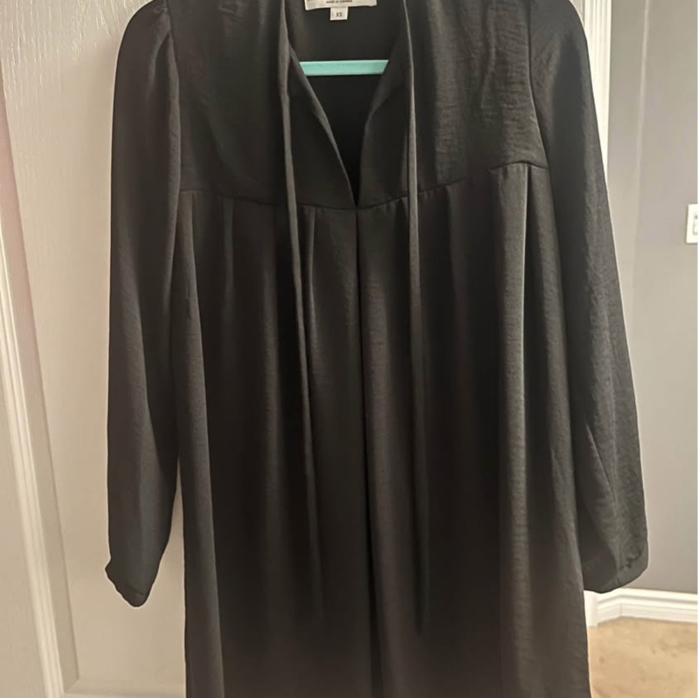 Birds of North America Black Ducks Dress